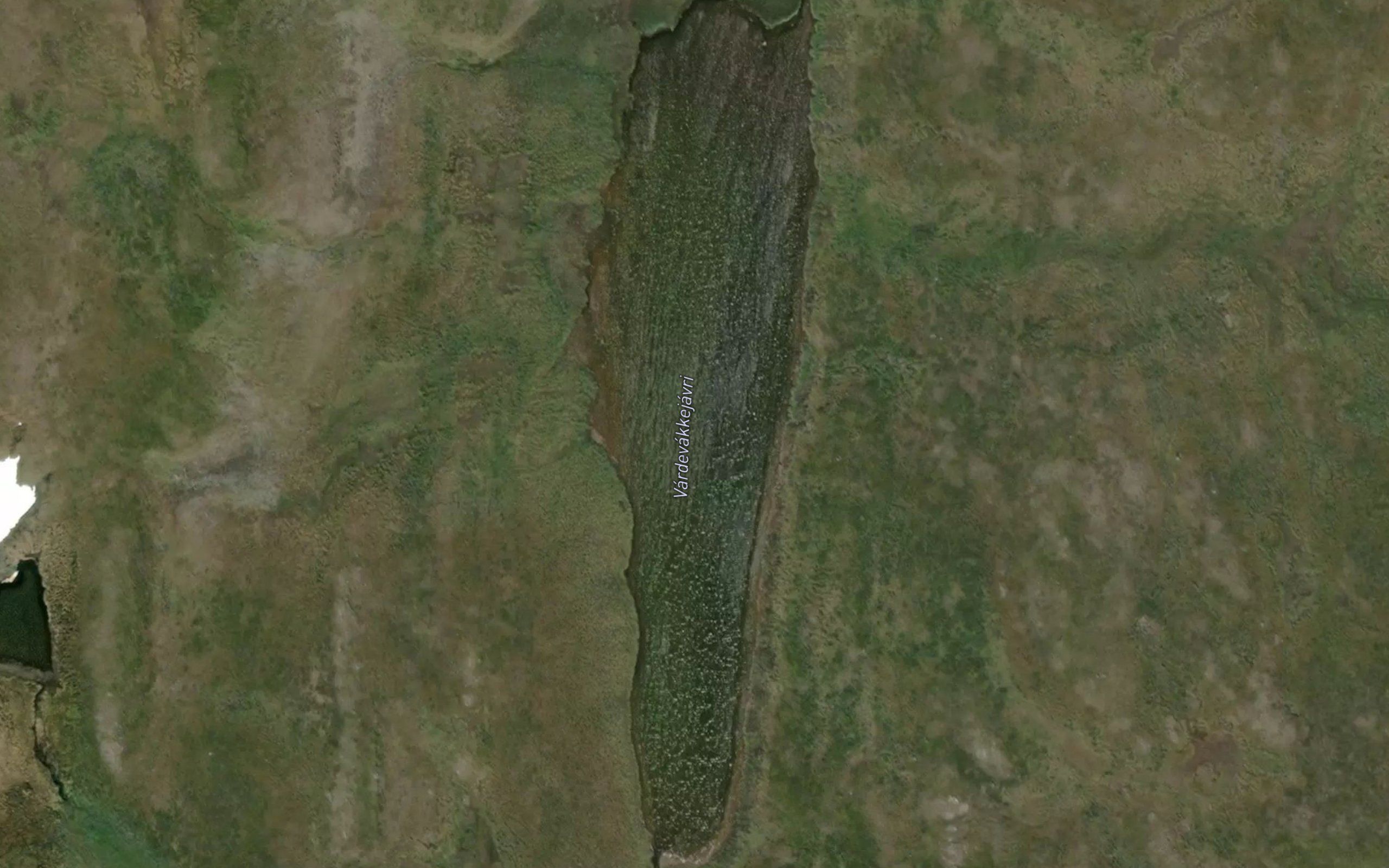 Vardevaggejavri