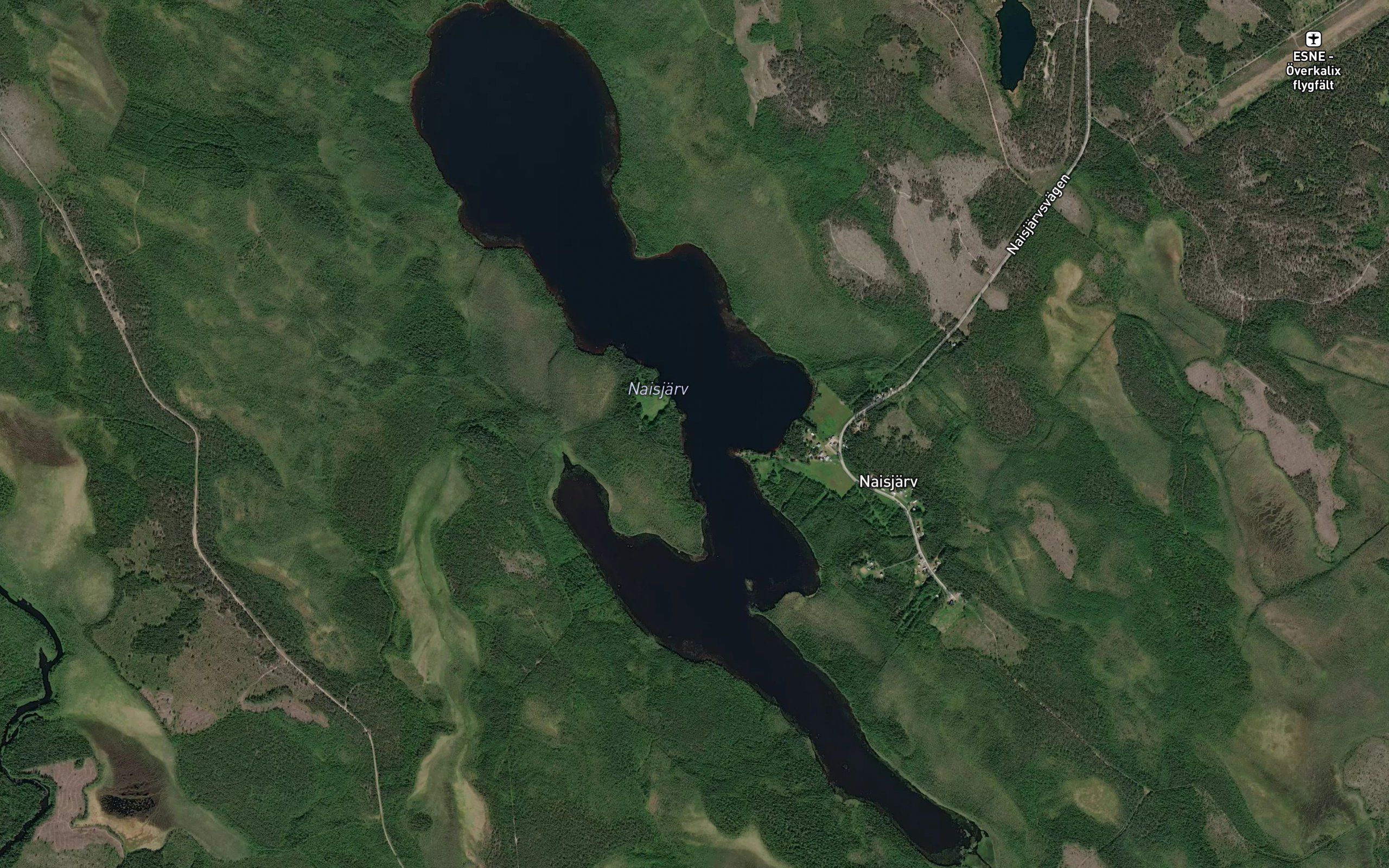 Naisjarv