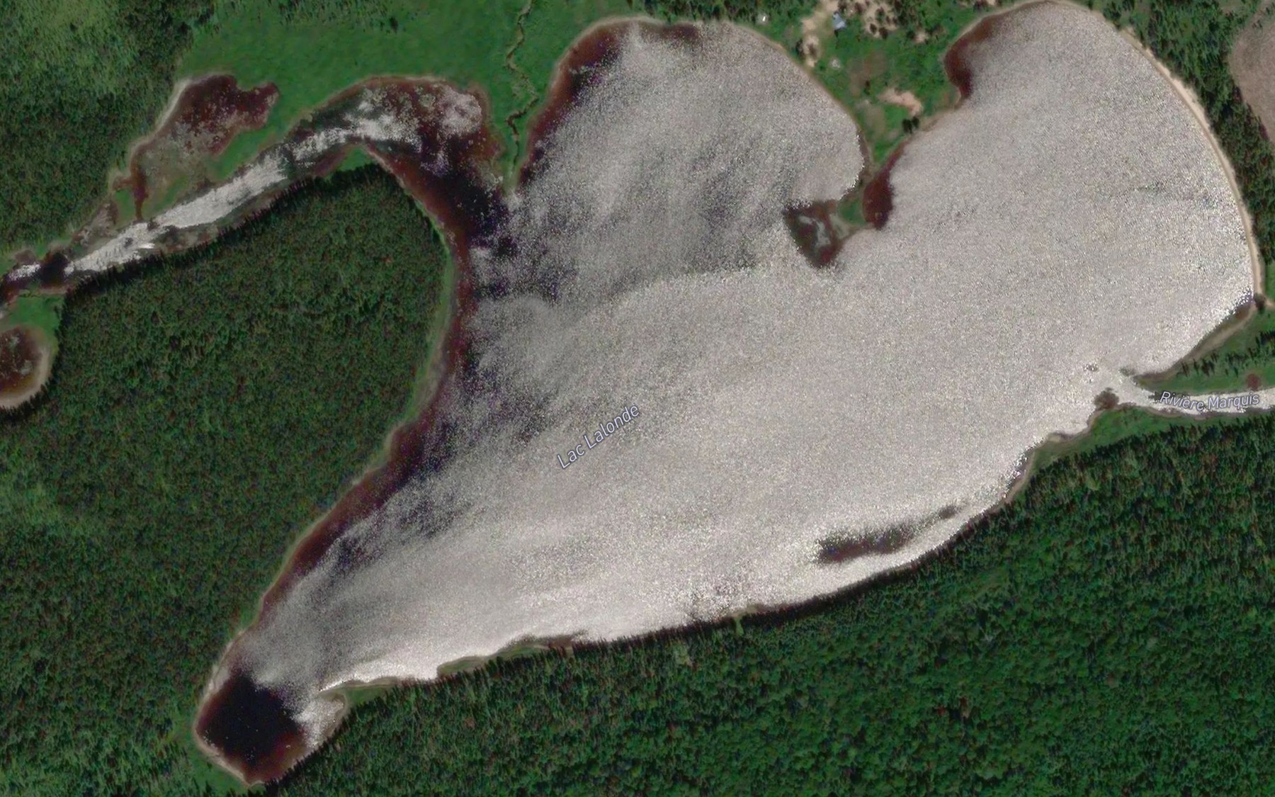 Satellite map of the Lac Lalonde