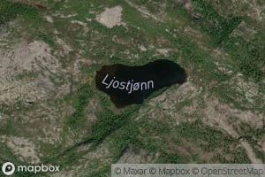 Ljostjorn