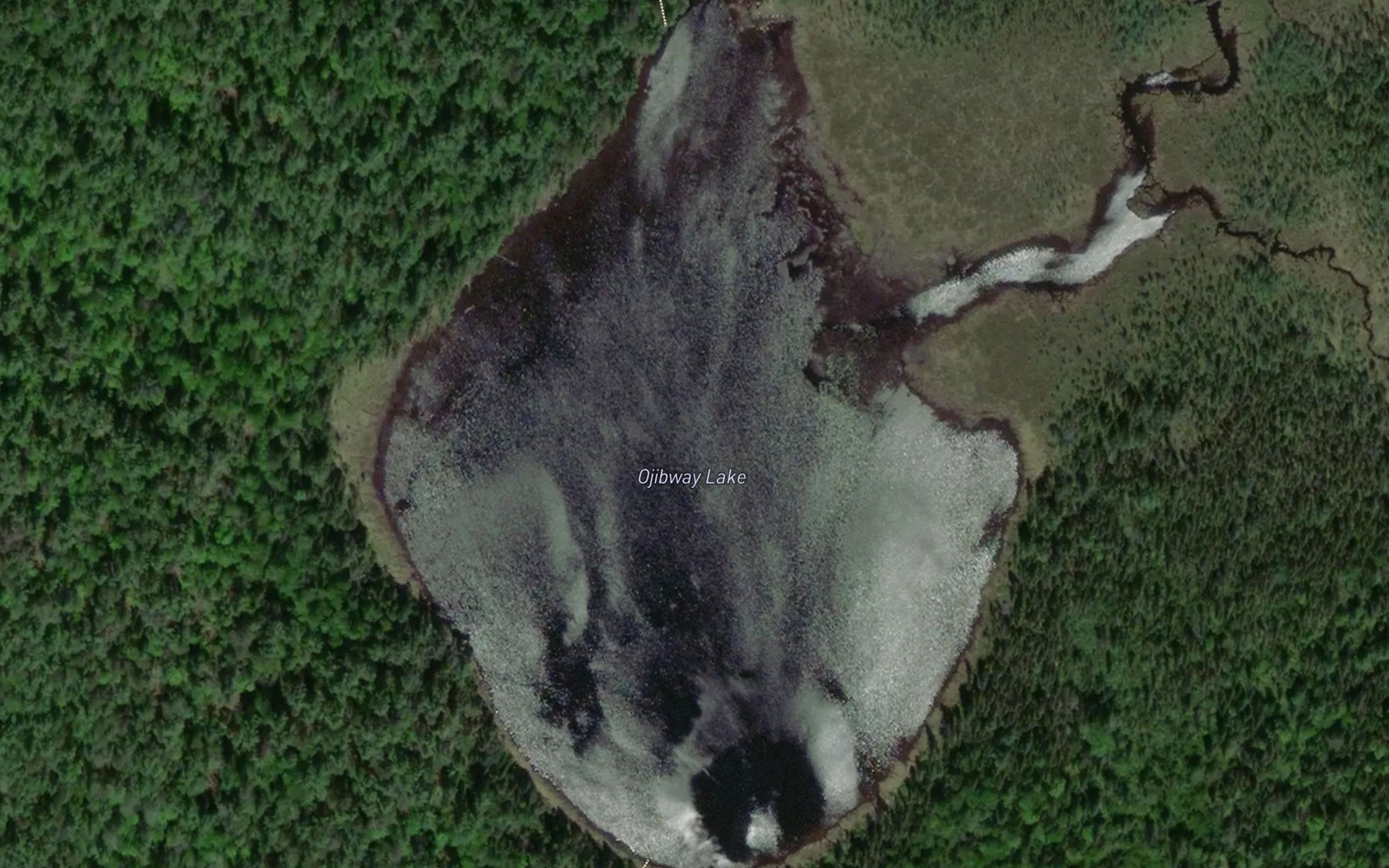 Satellite map of the Ojibway Lake