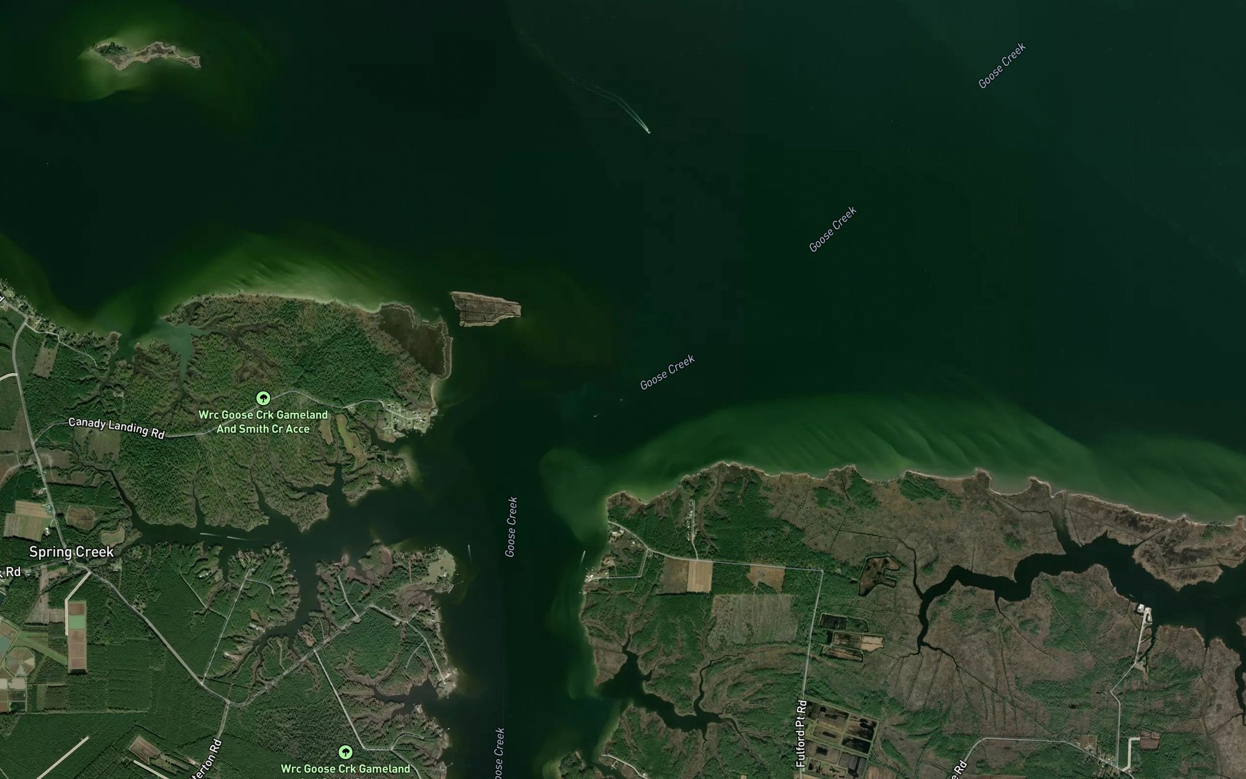 Satellite map of the Goose Creek