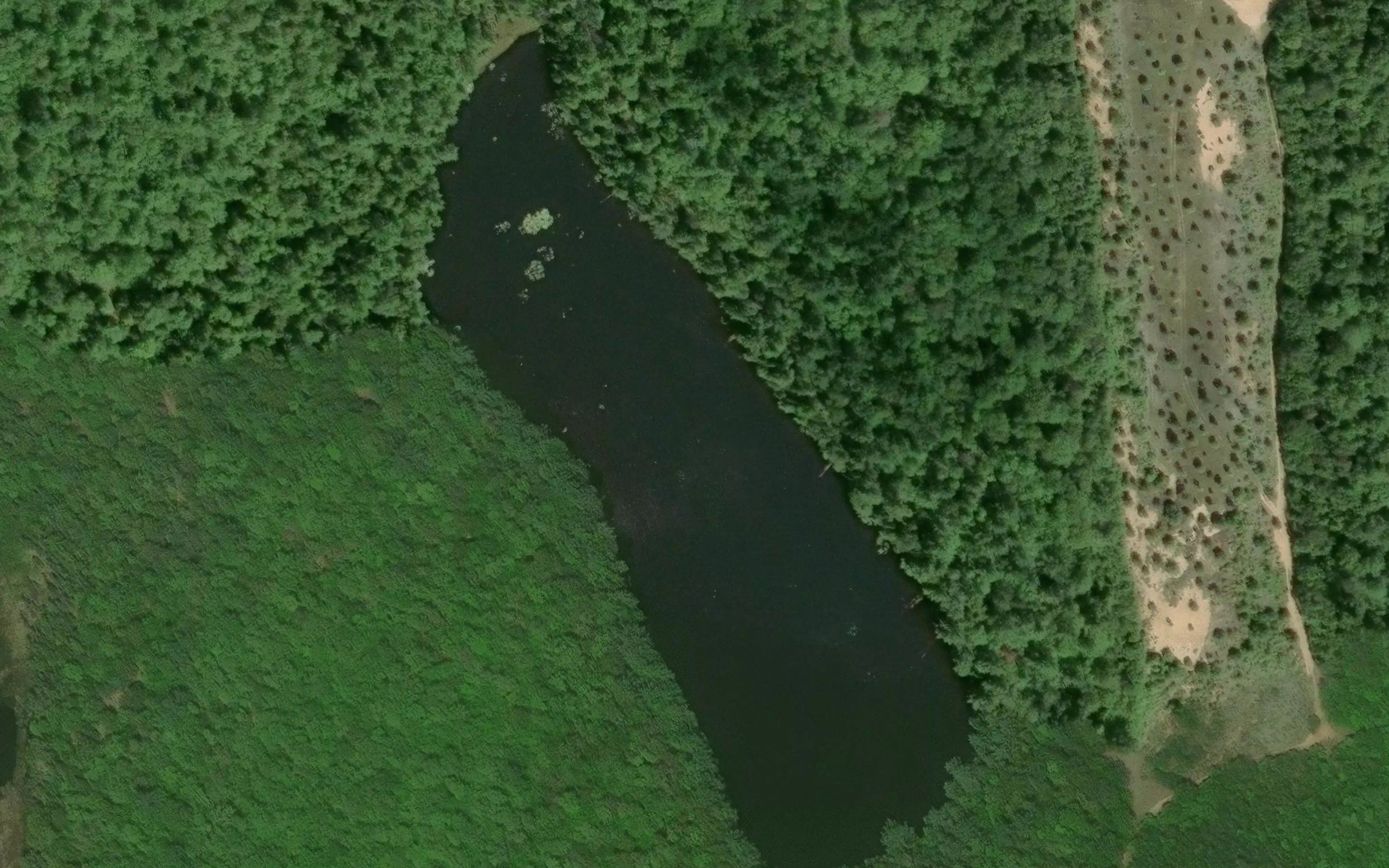 Spruce Lake