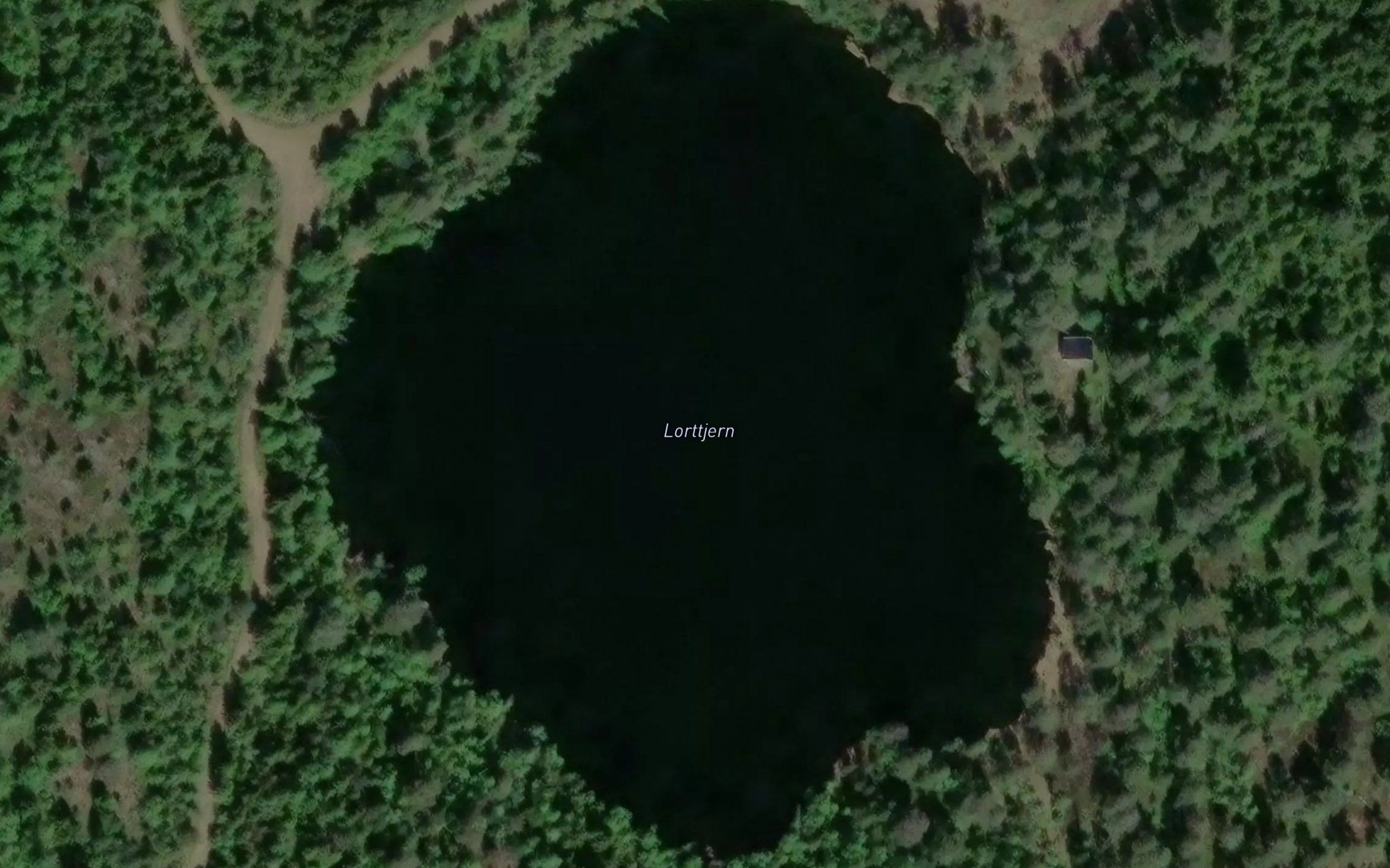 Lortholtjern