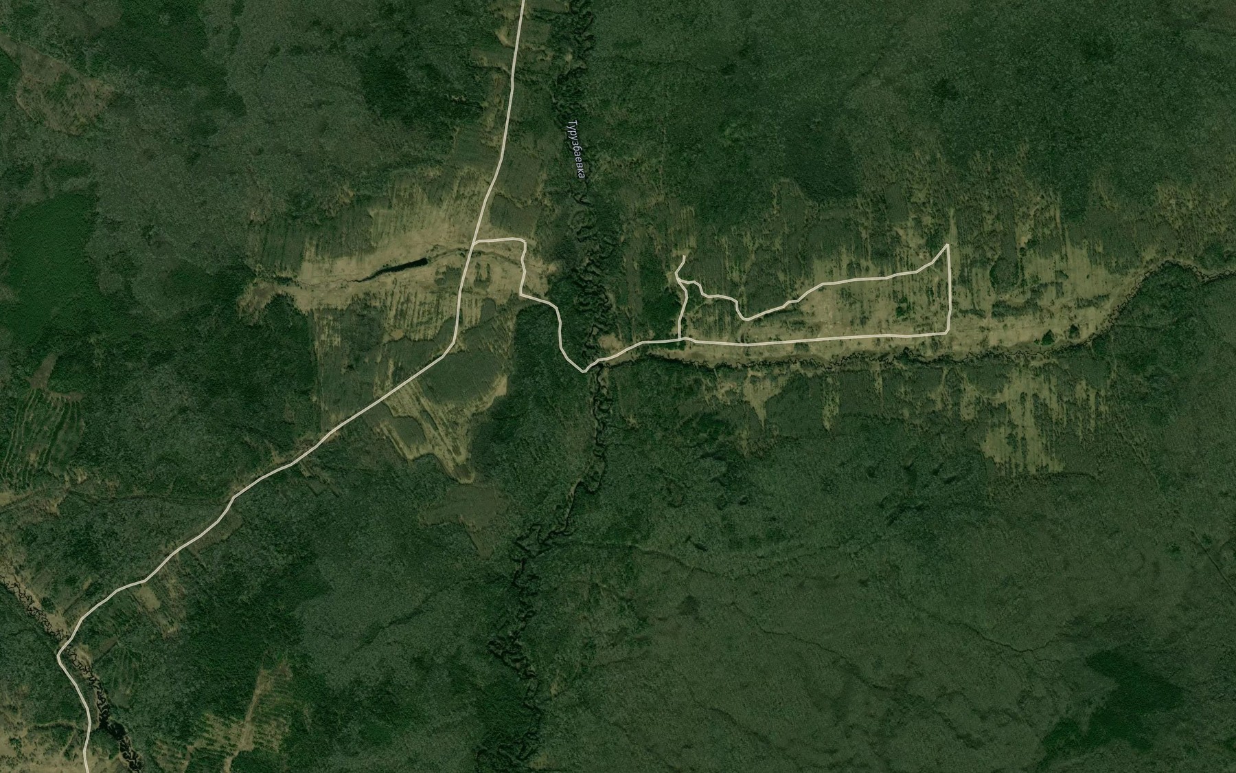 Satellite map of the Chernosobolka