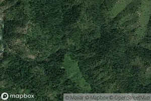 South Fork Chatterdown Creek