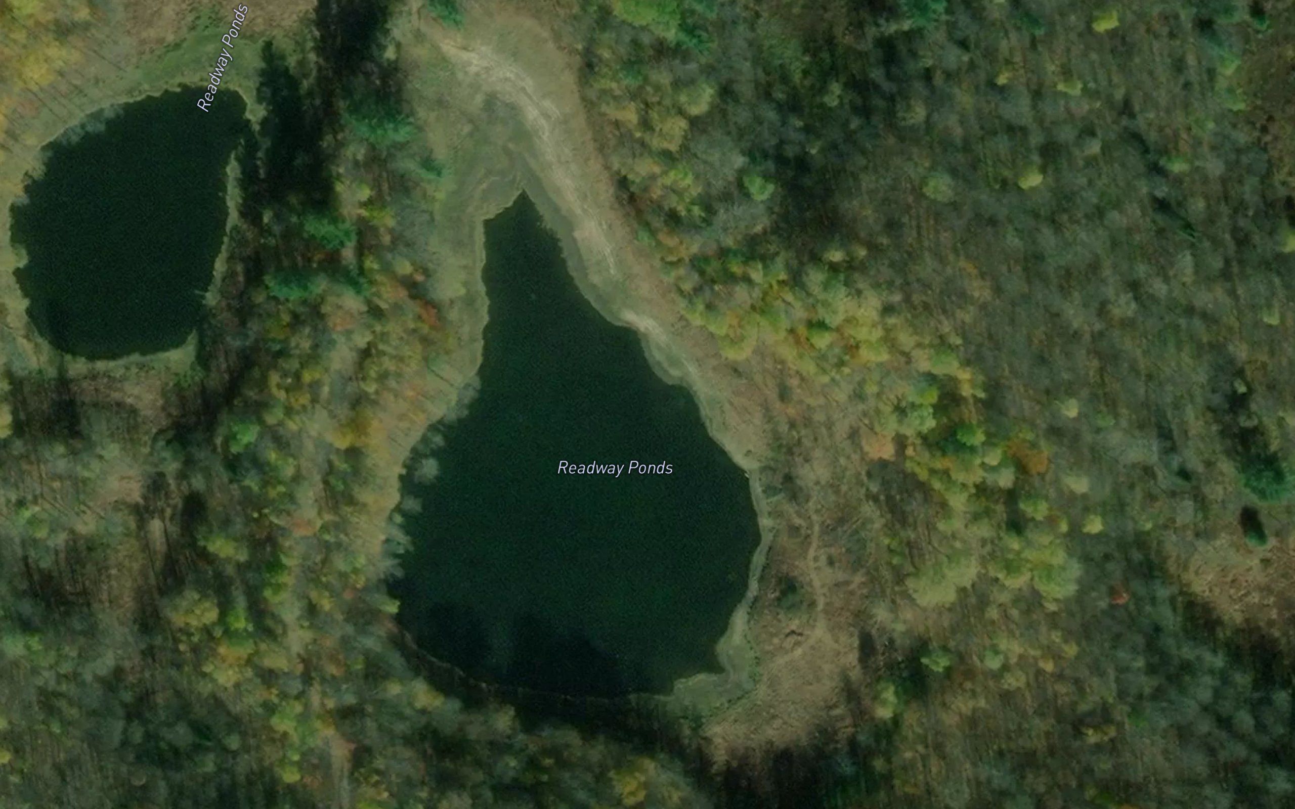 Readway Ponds
