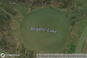 Alligator Lake