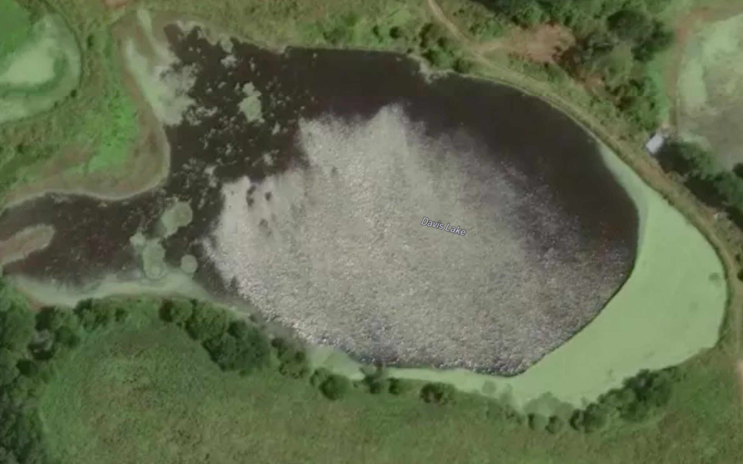 Davis Lake