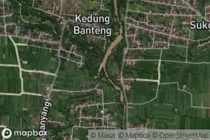 Kali Kenyang