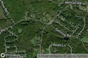 Chapins Meadow Brook