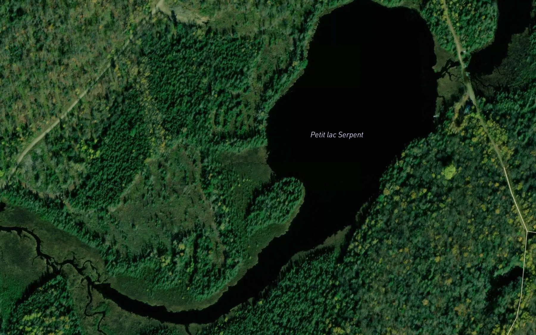 Satellite map of the Petit lac Serpent