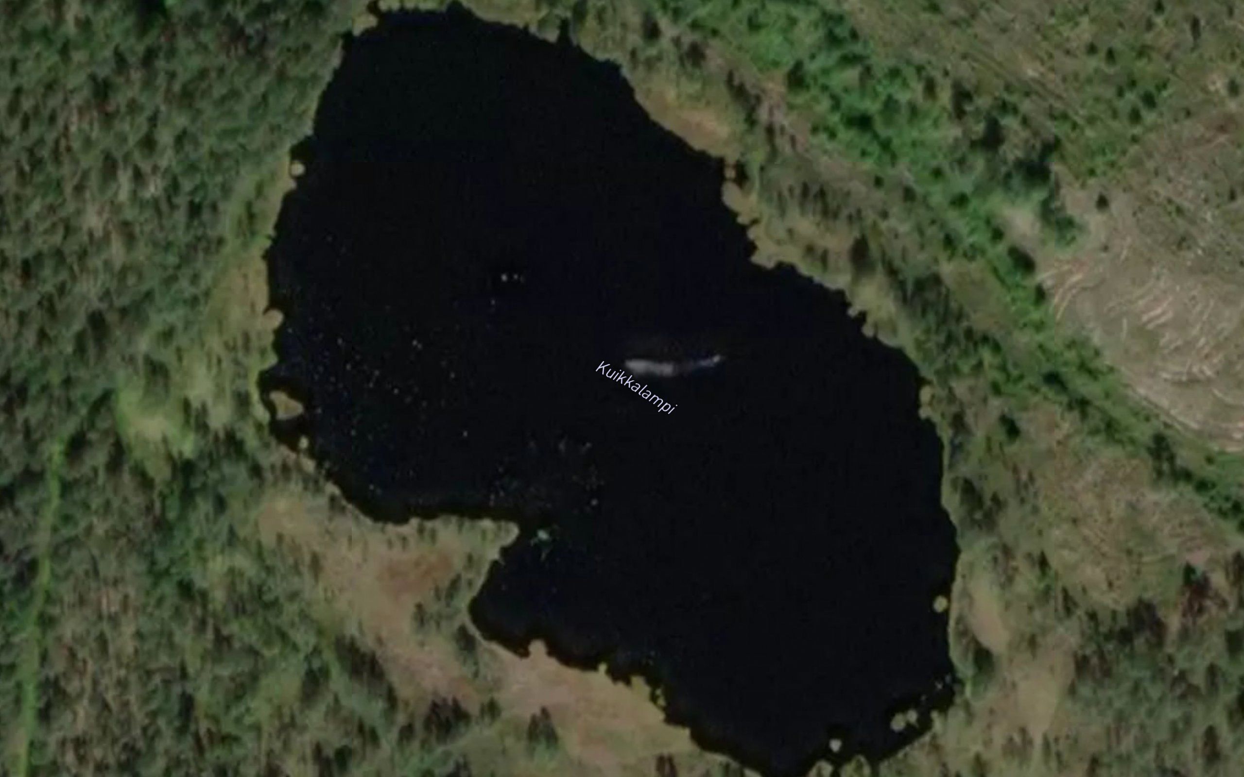 Kuikkalampi