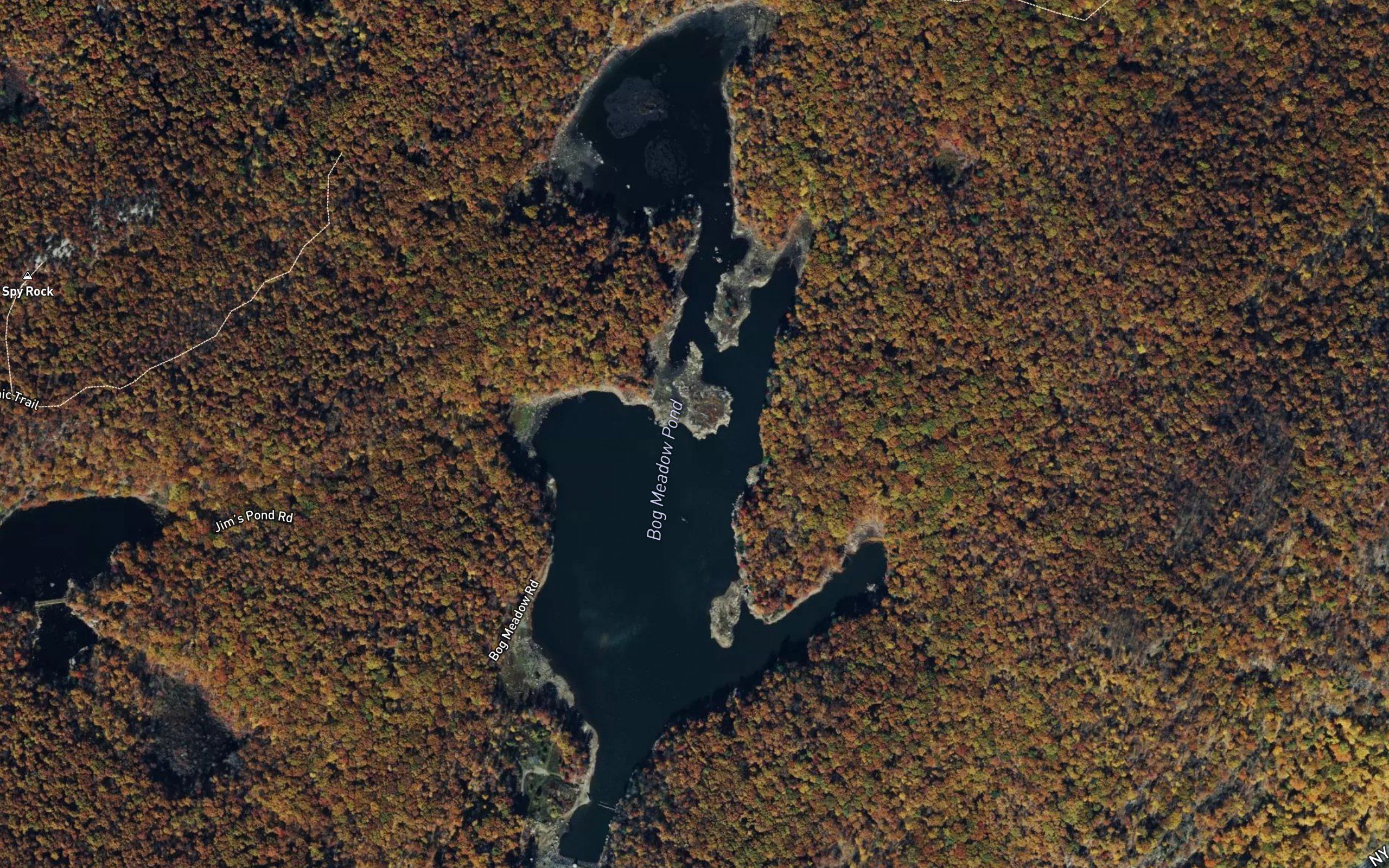 Bog Meadow Pond