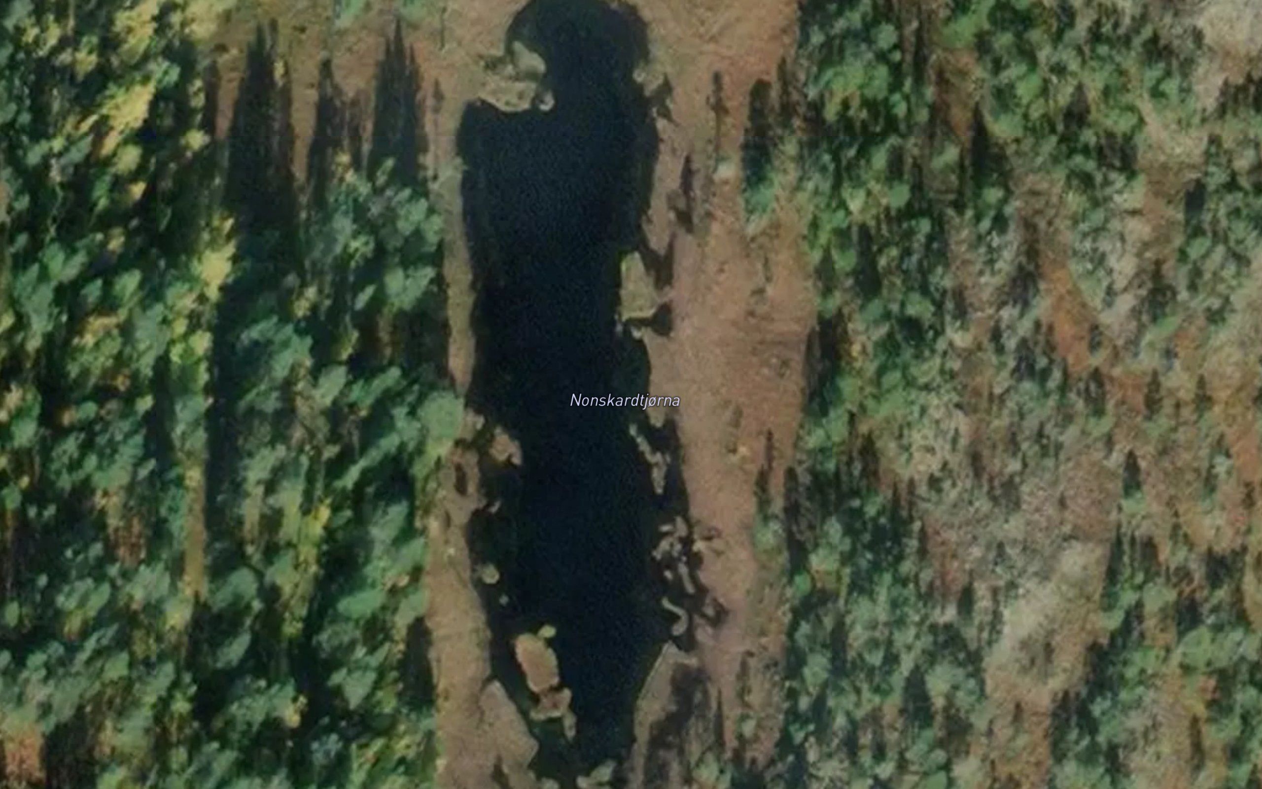 Nonskardtjorna