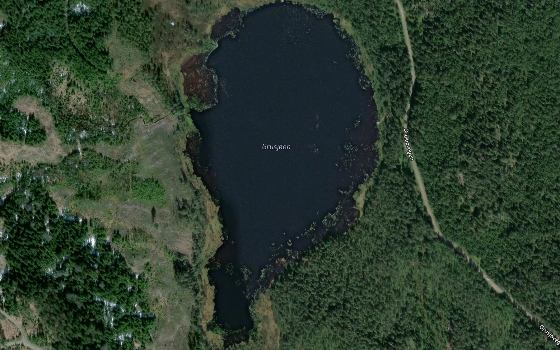 Satellite map of the Grusjoen
