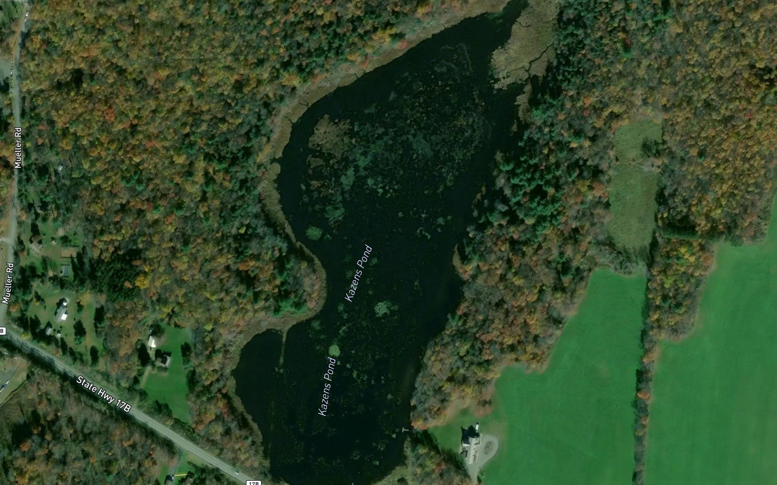 Kazens Pond