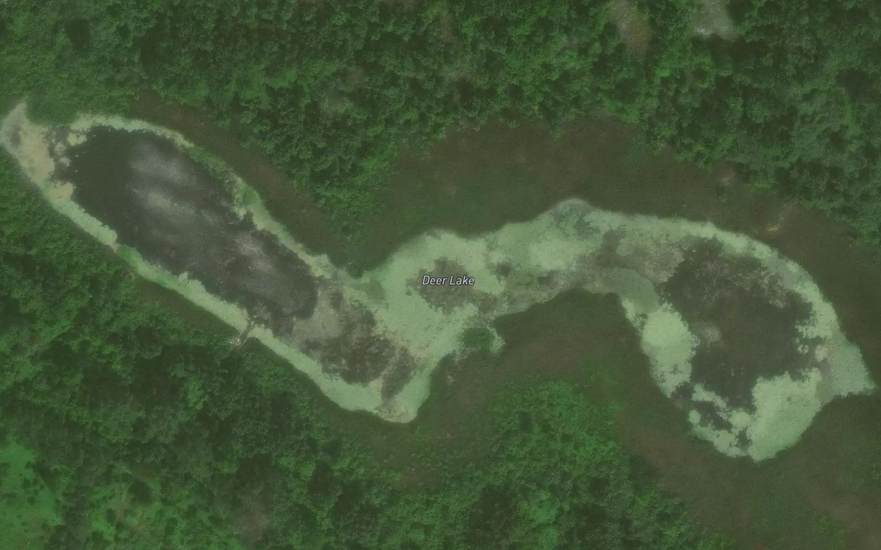 Satellite map of the Deer Lake