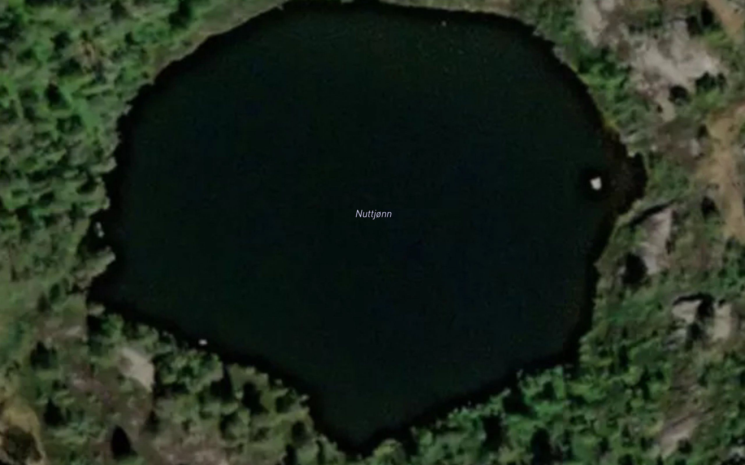 Nuttjonn