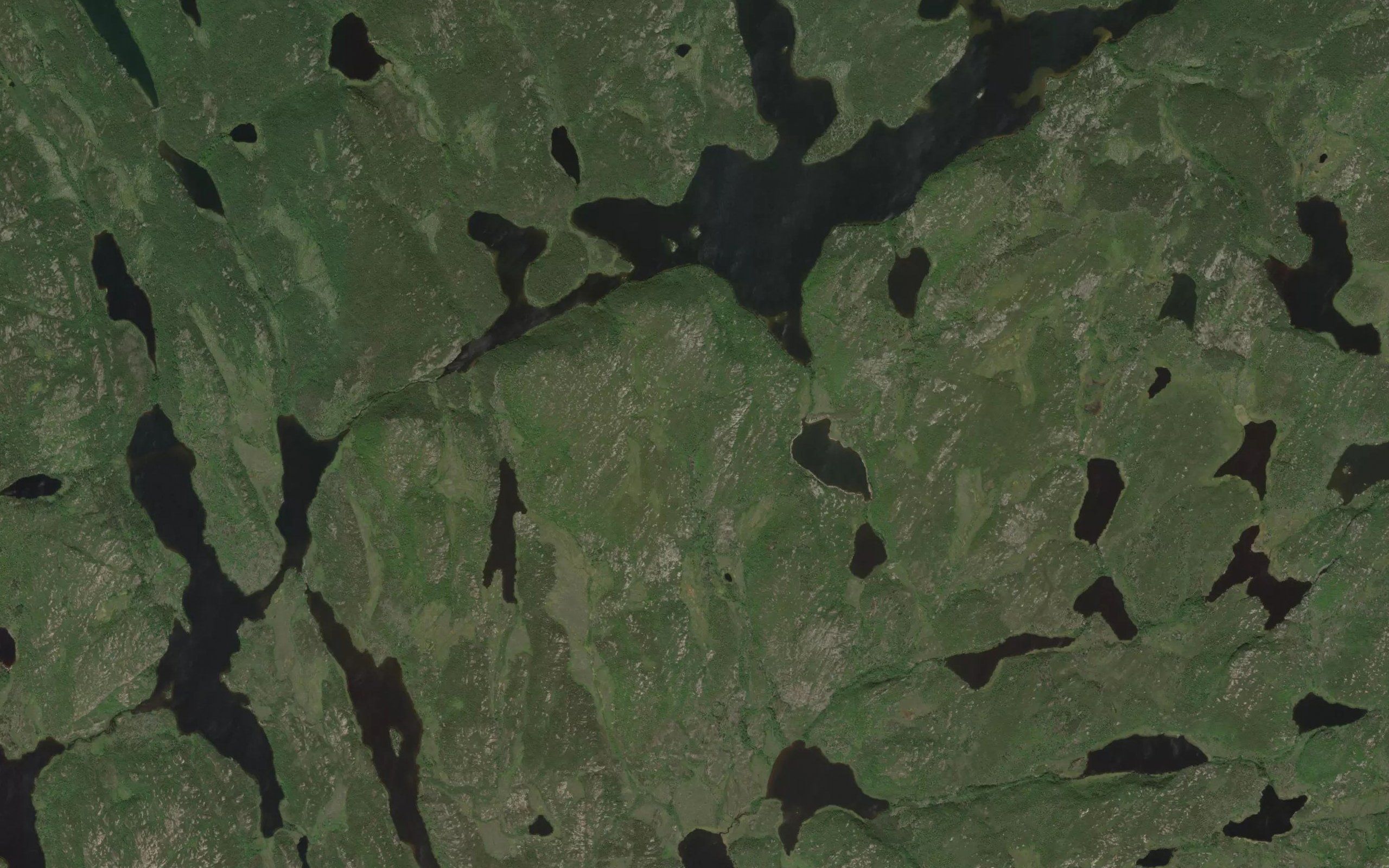 Dinty Lake