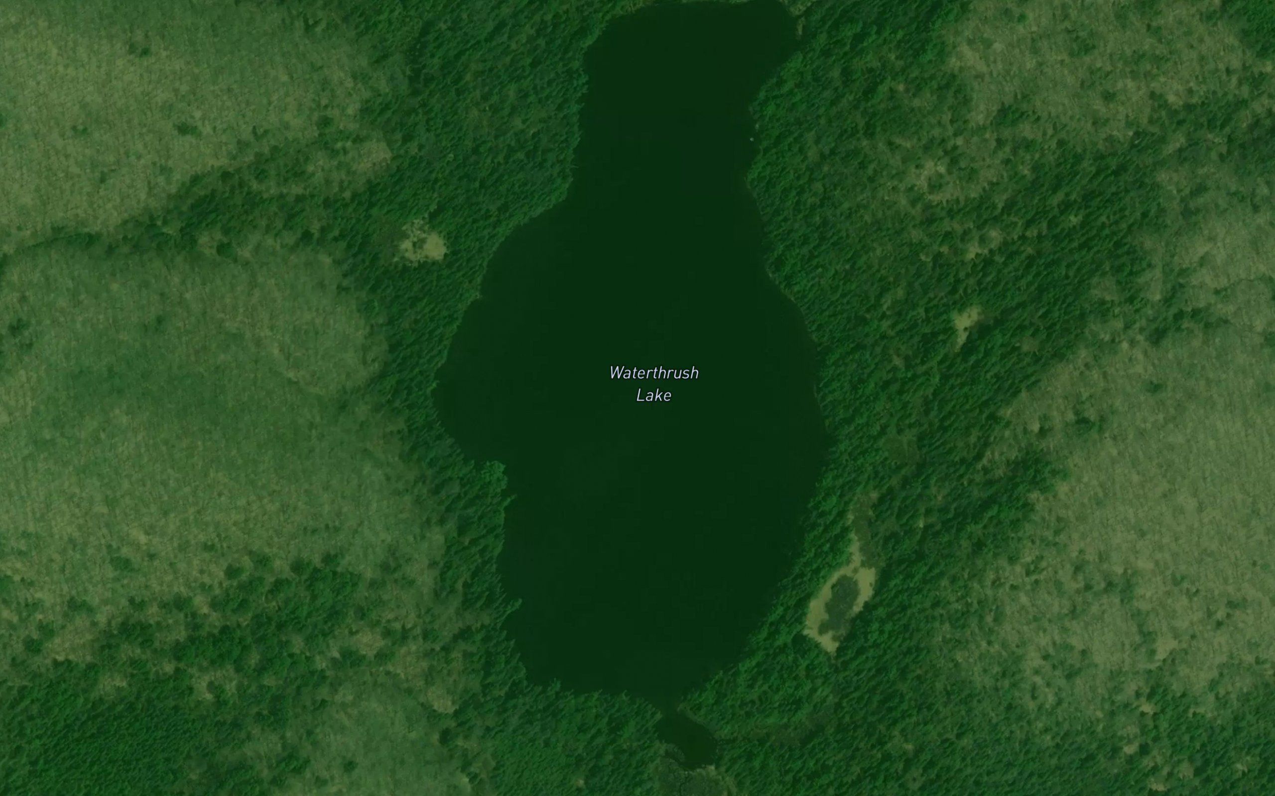 Waterthrush Lake