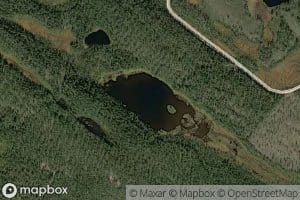 Heinalampi