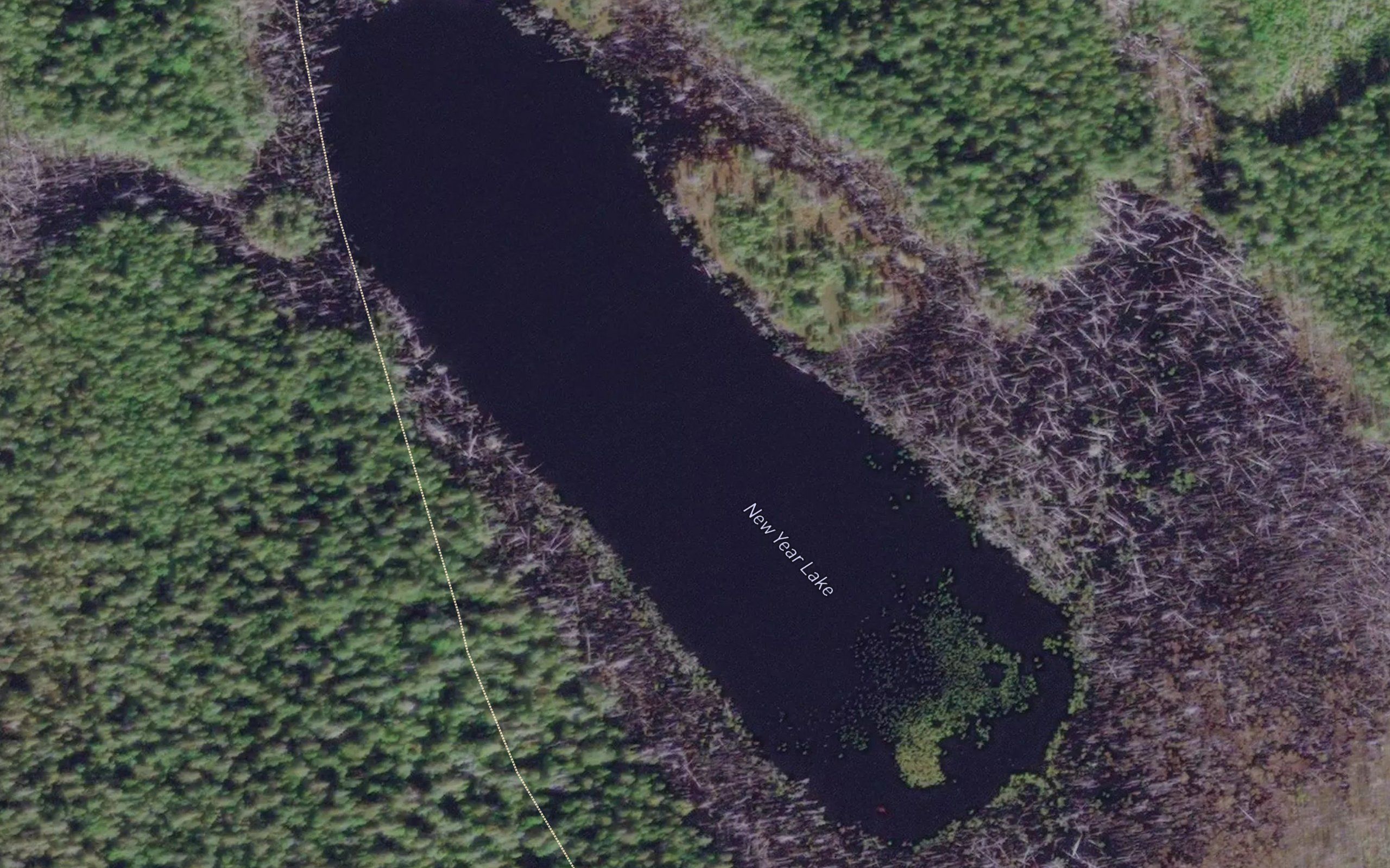 New Year Lake