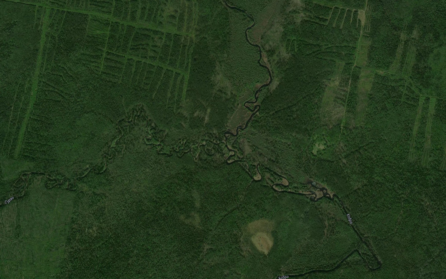 Satellite map of the Suran