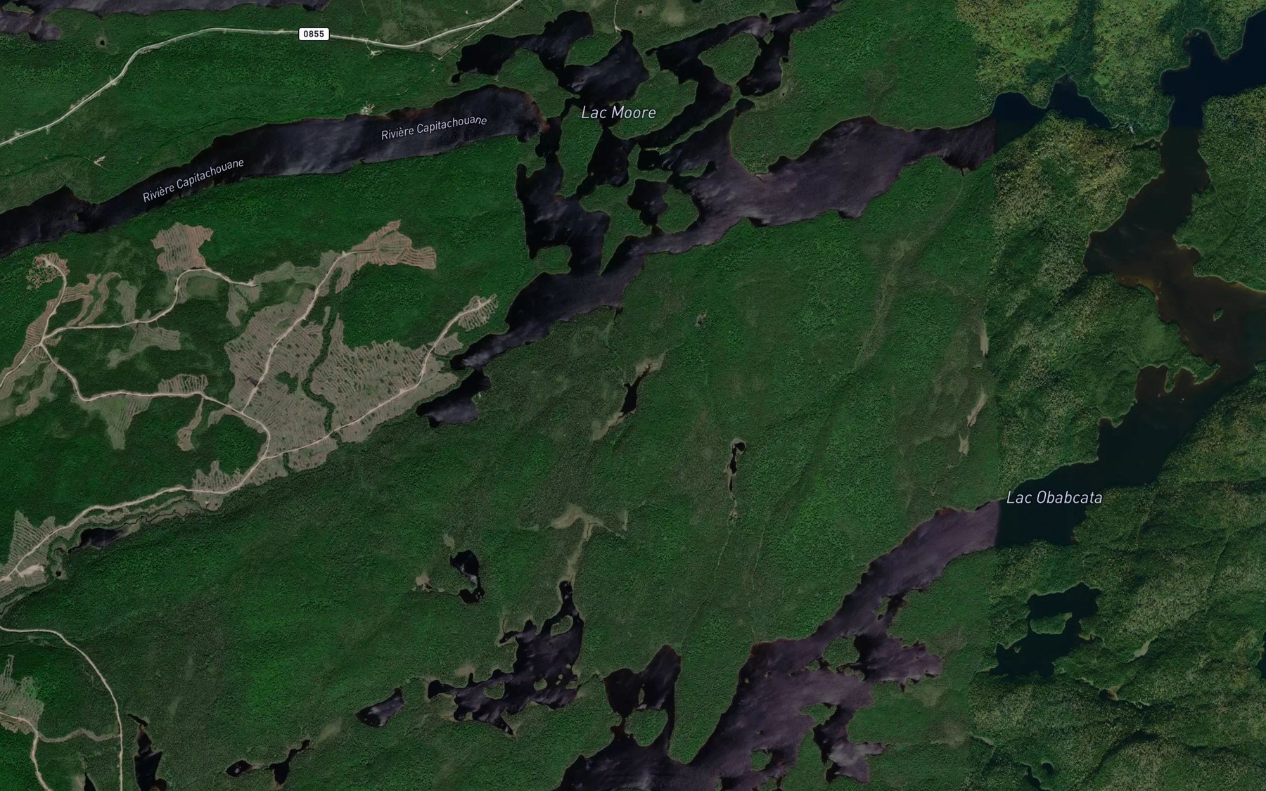 Satellite map of the Petit lac Enjoue