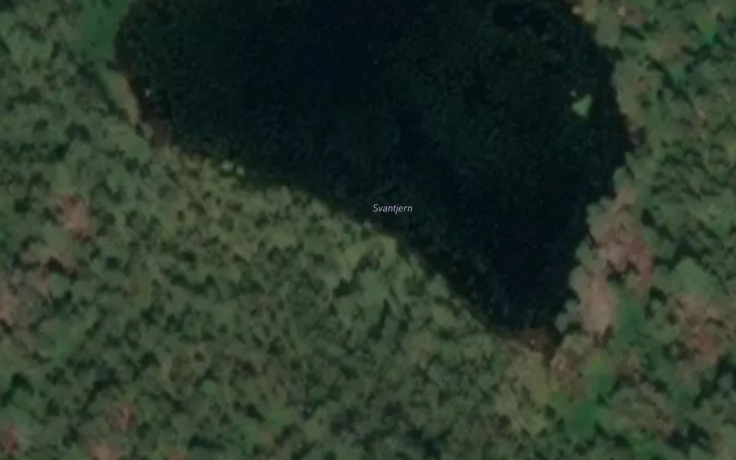 Svantjern