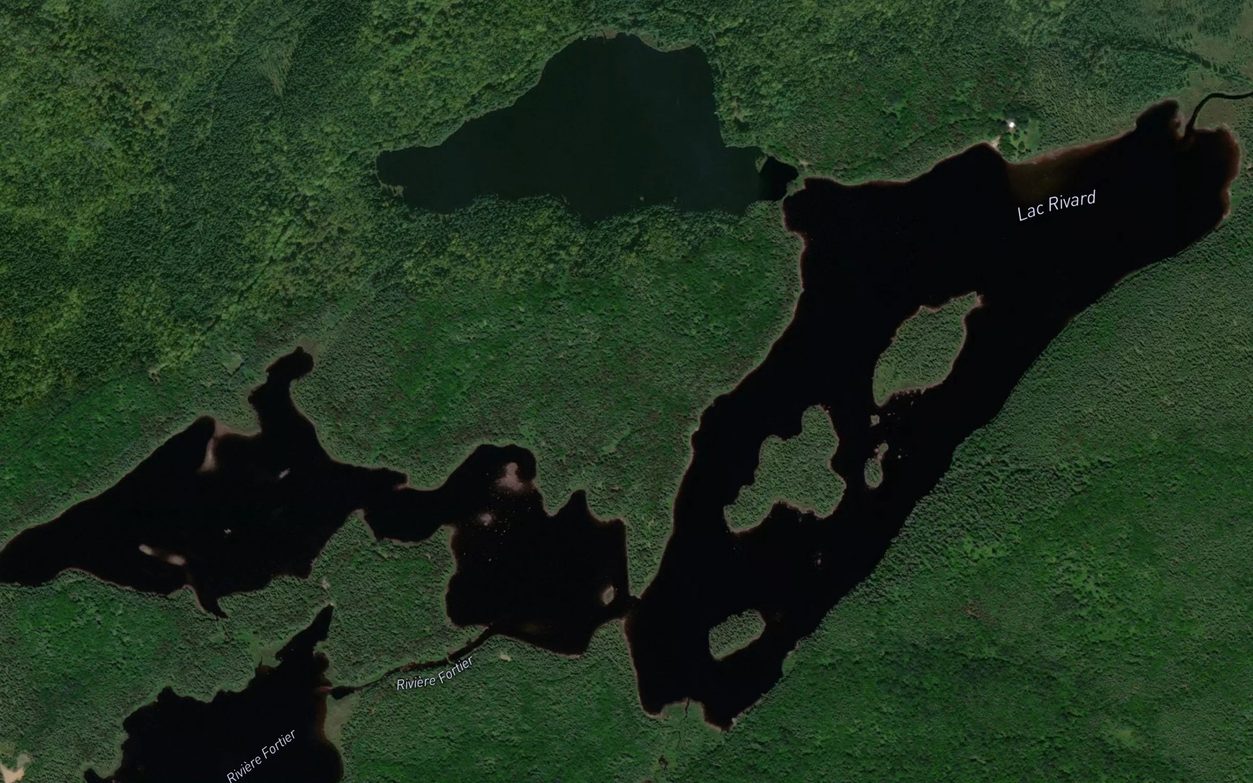 Satellite map of the Lac Rivard