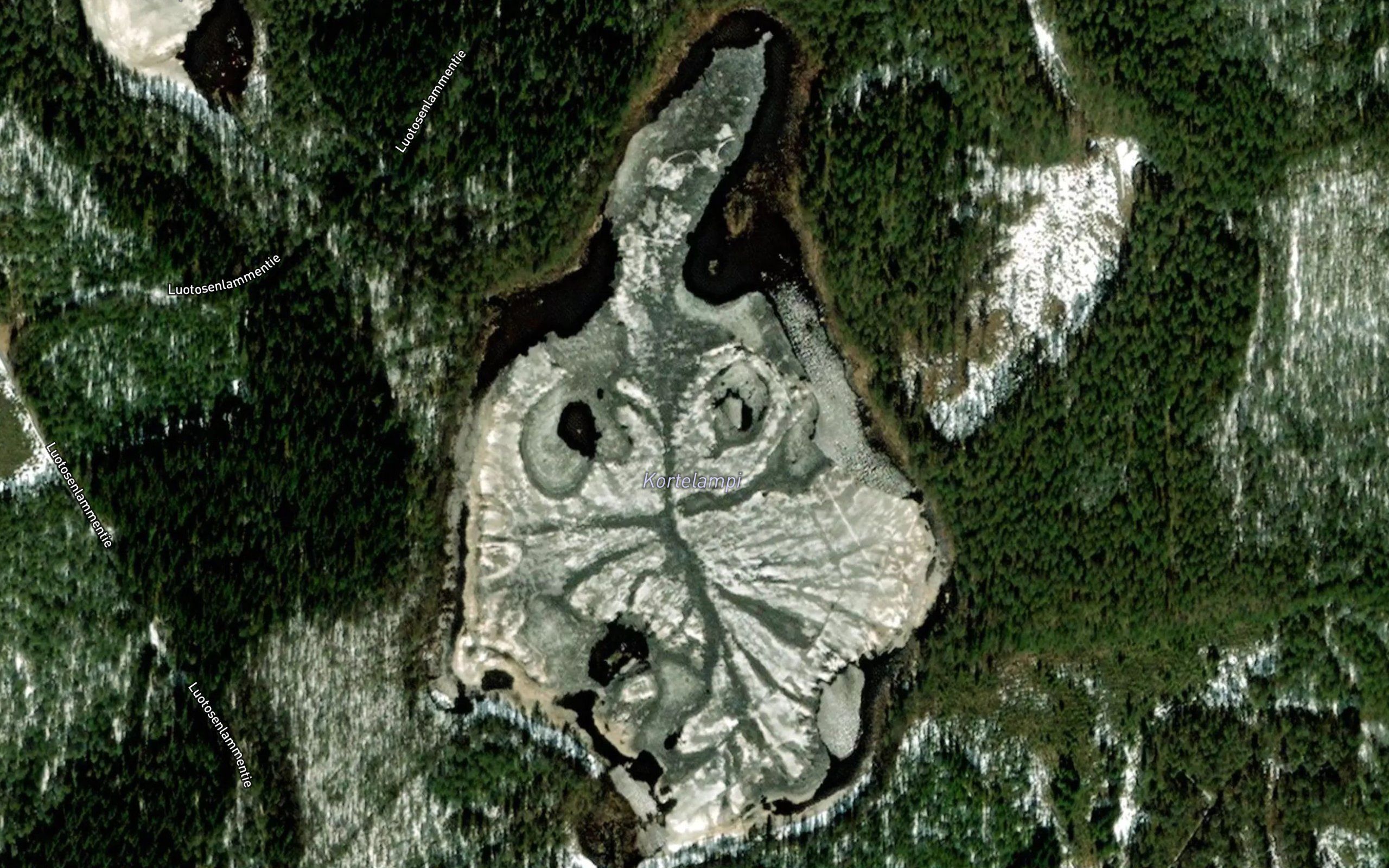 Kortelampi