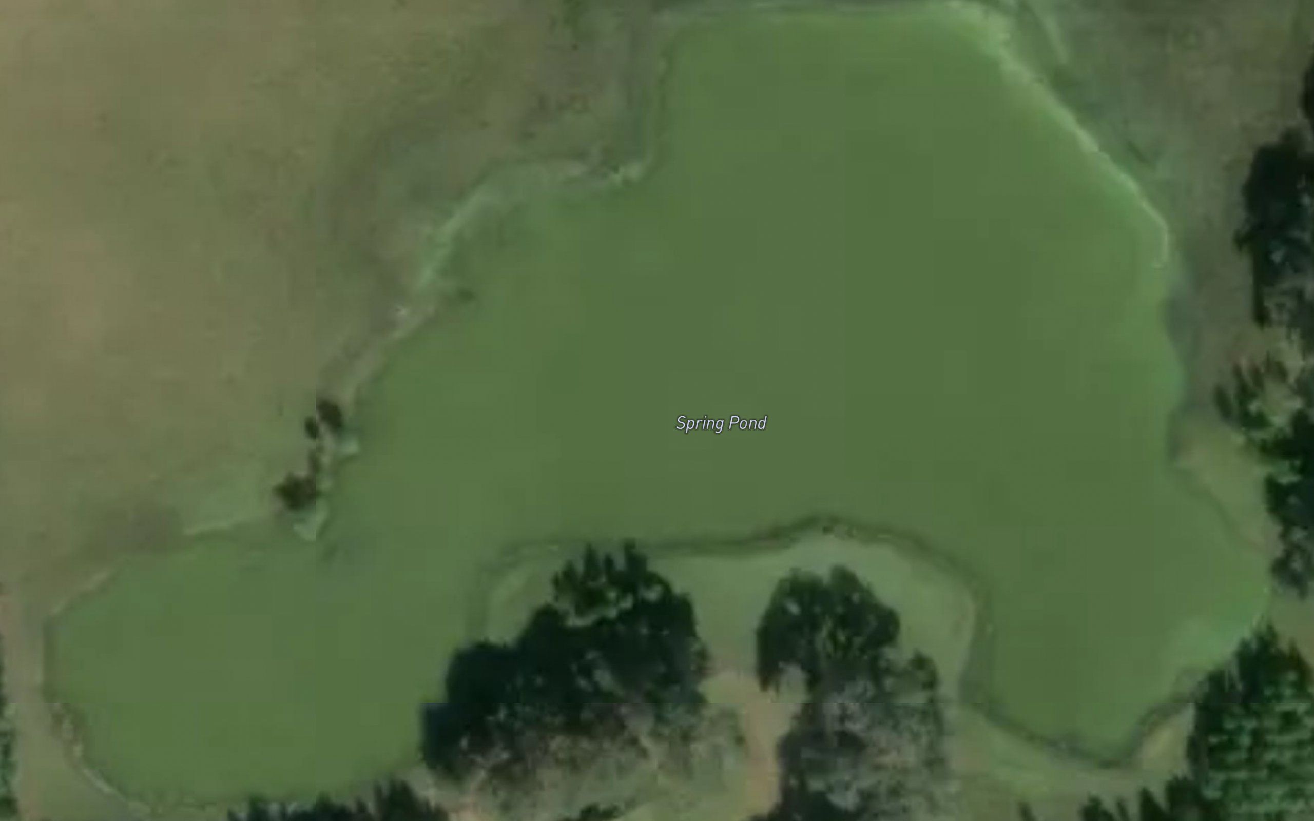 Spring Pond