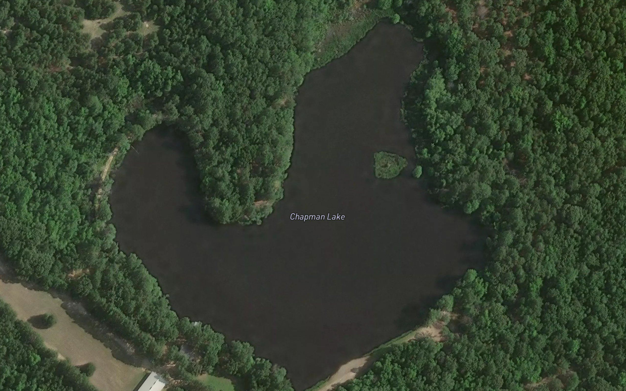 Chapman Lake