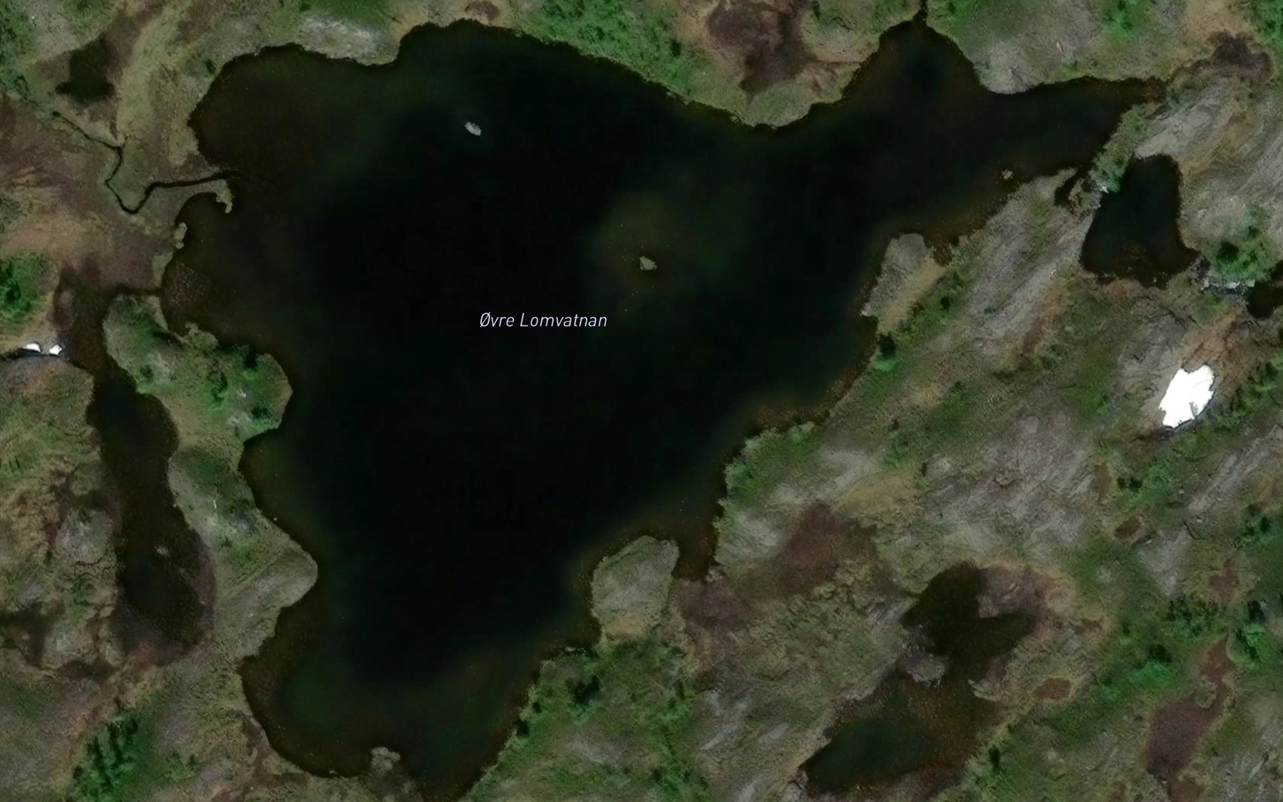 Satellite map of the Ovre Lomvatnan