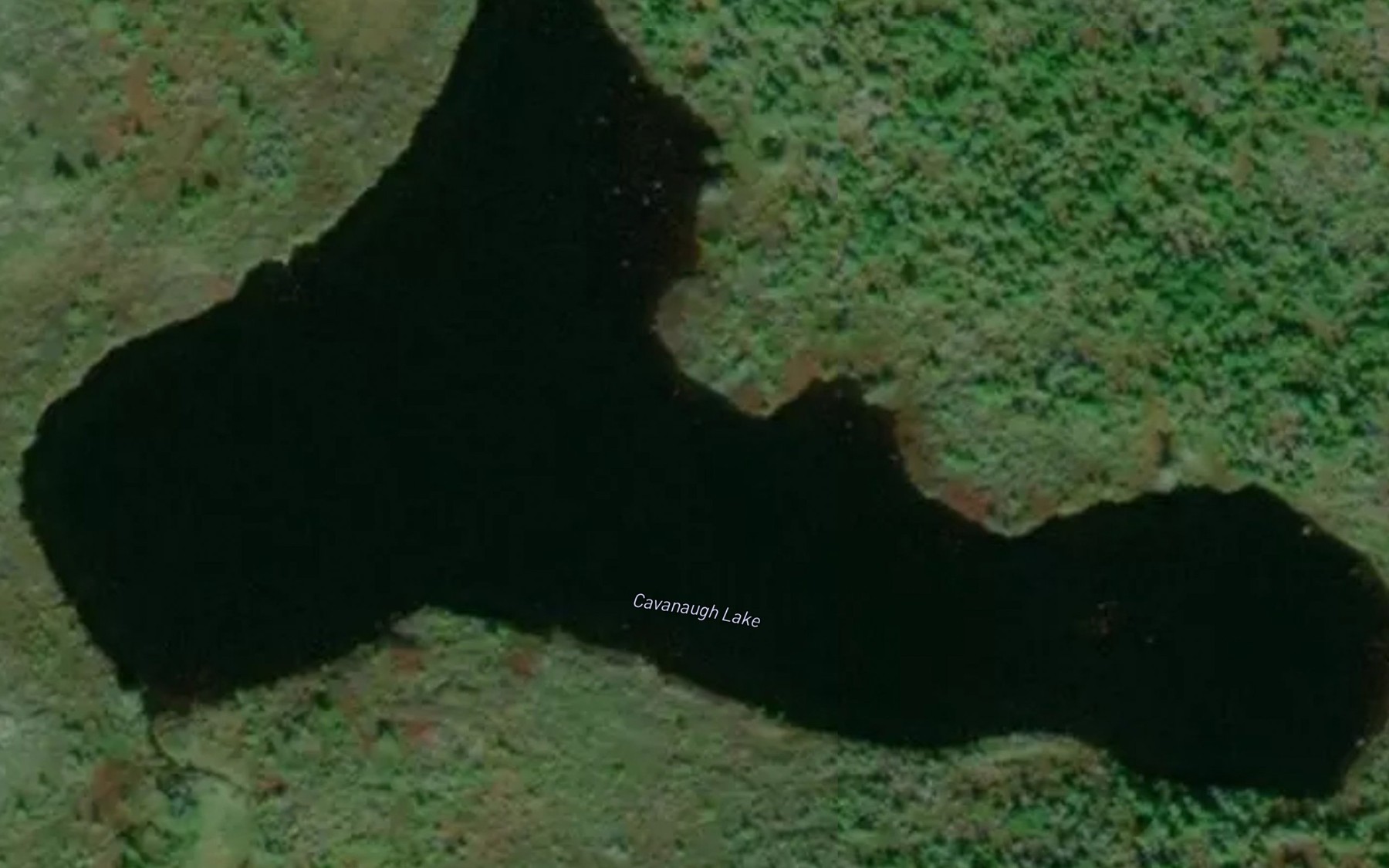 Satellite map of the Cavanaugh Lake