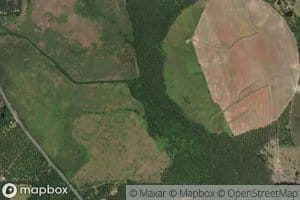 Reedy Creek