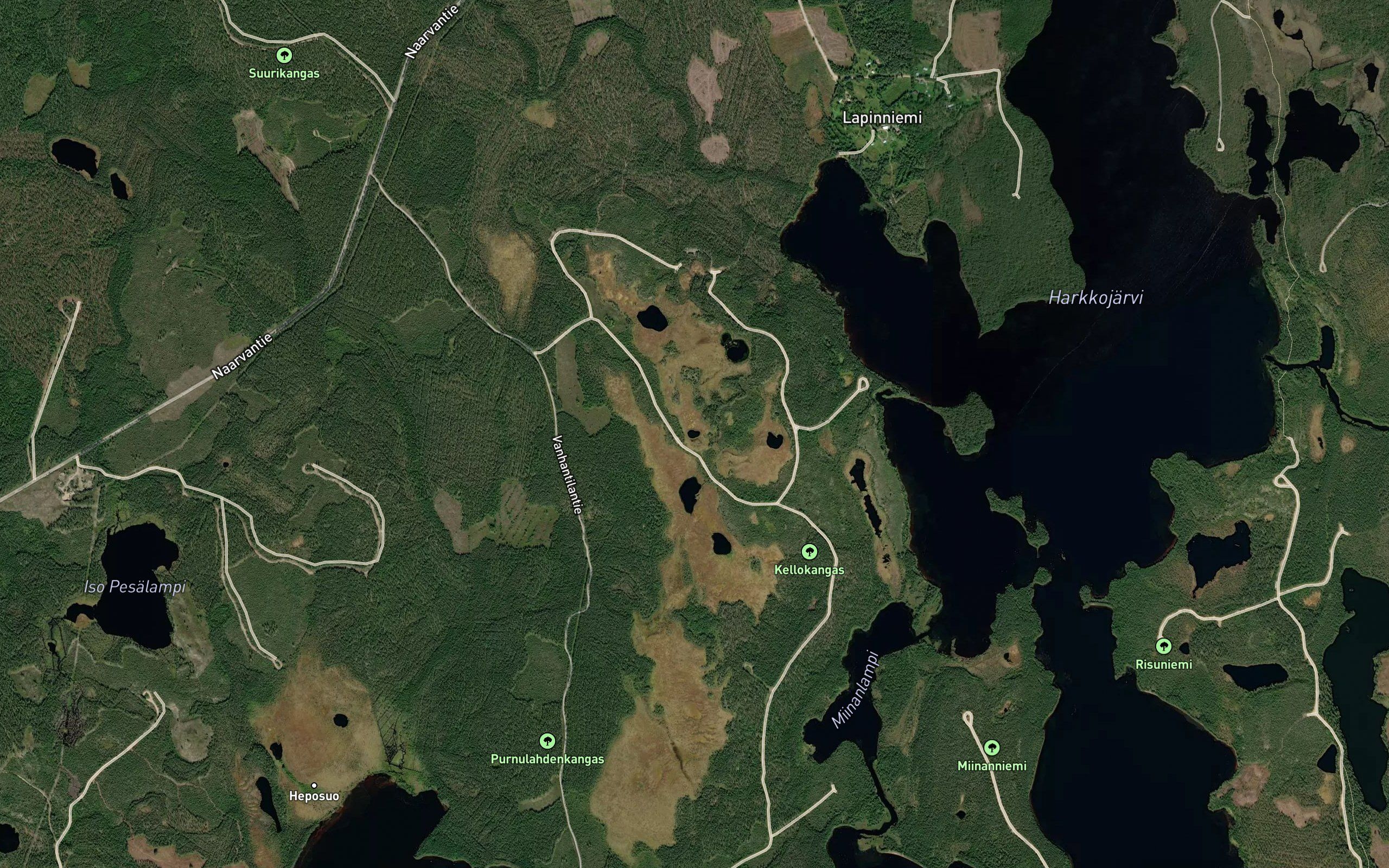 Lehmilammit