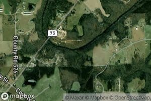 Reedy Creek