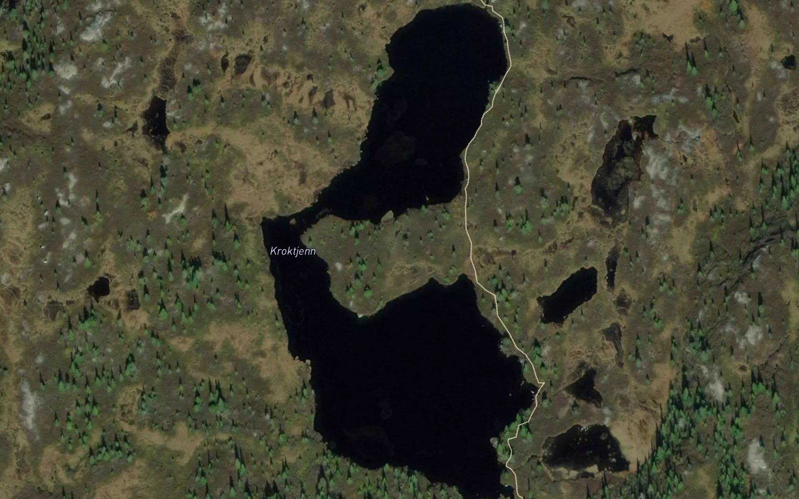 Kroktjern