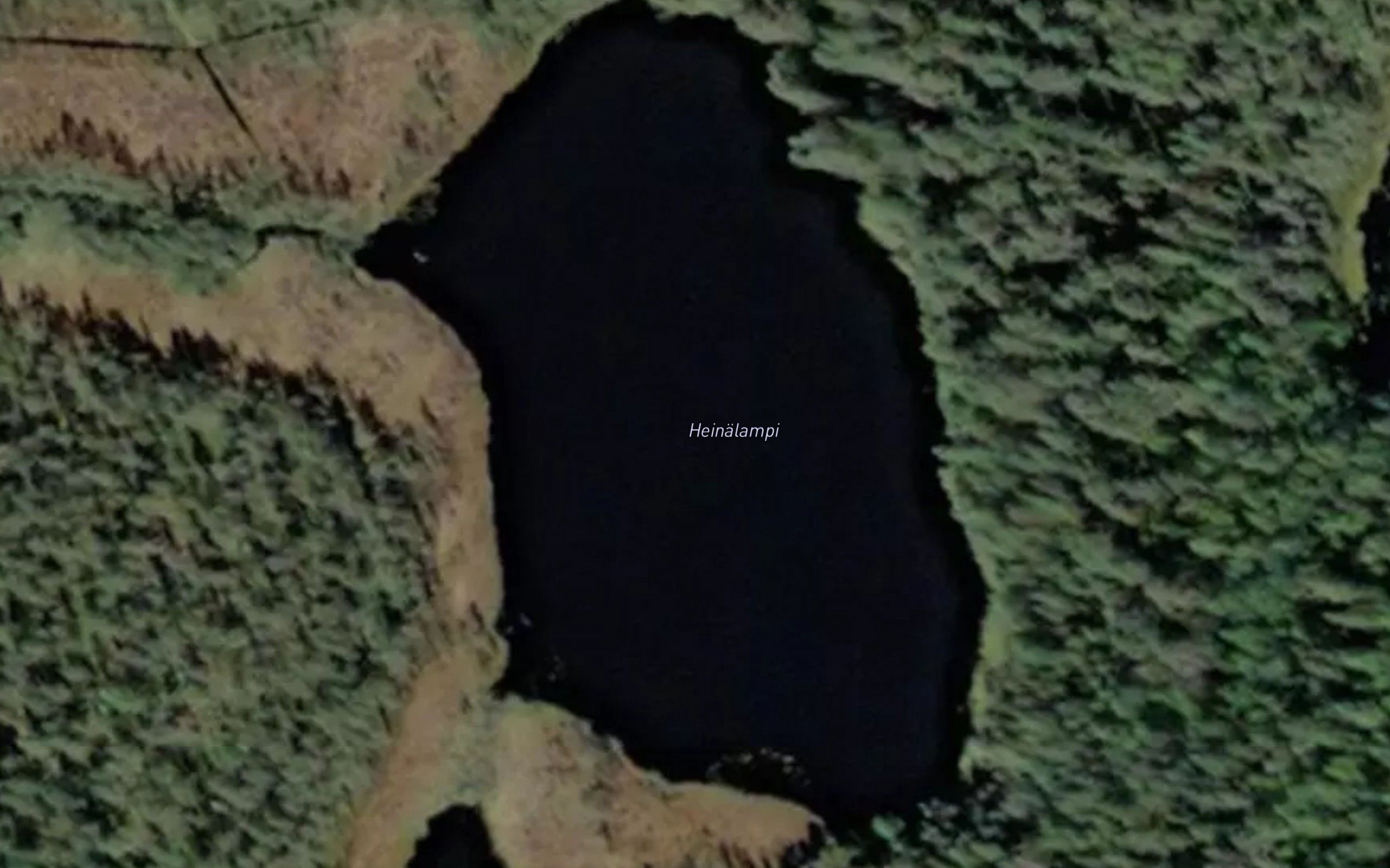 Heinalampi