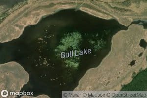 Gull Lake
