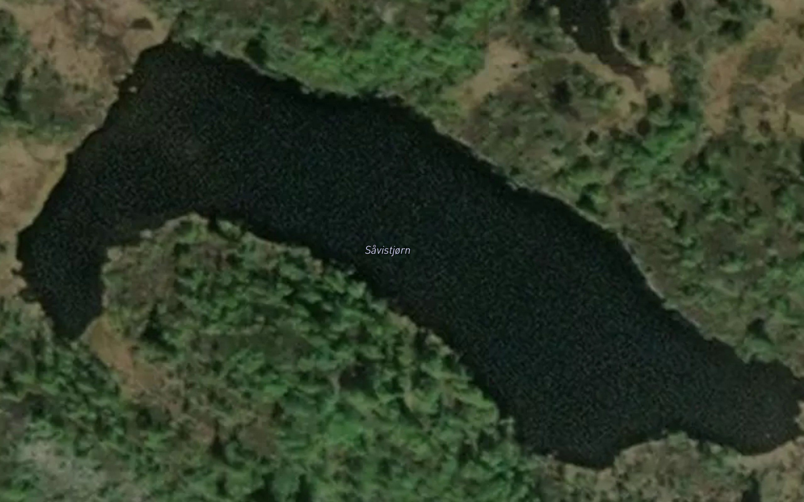 Savistjorn
