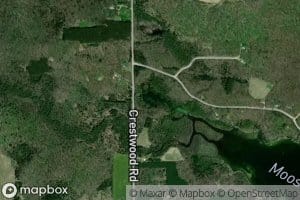 Moose Springs