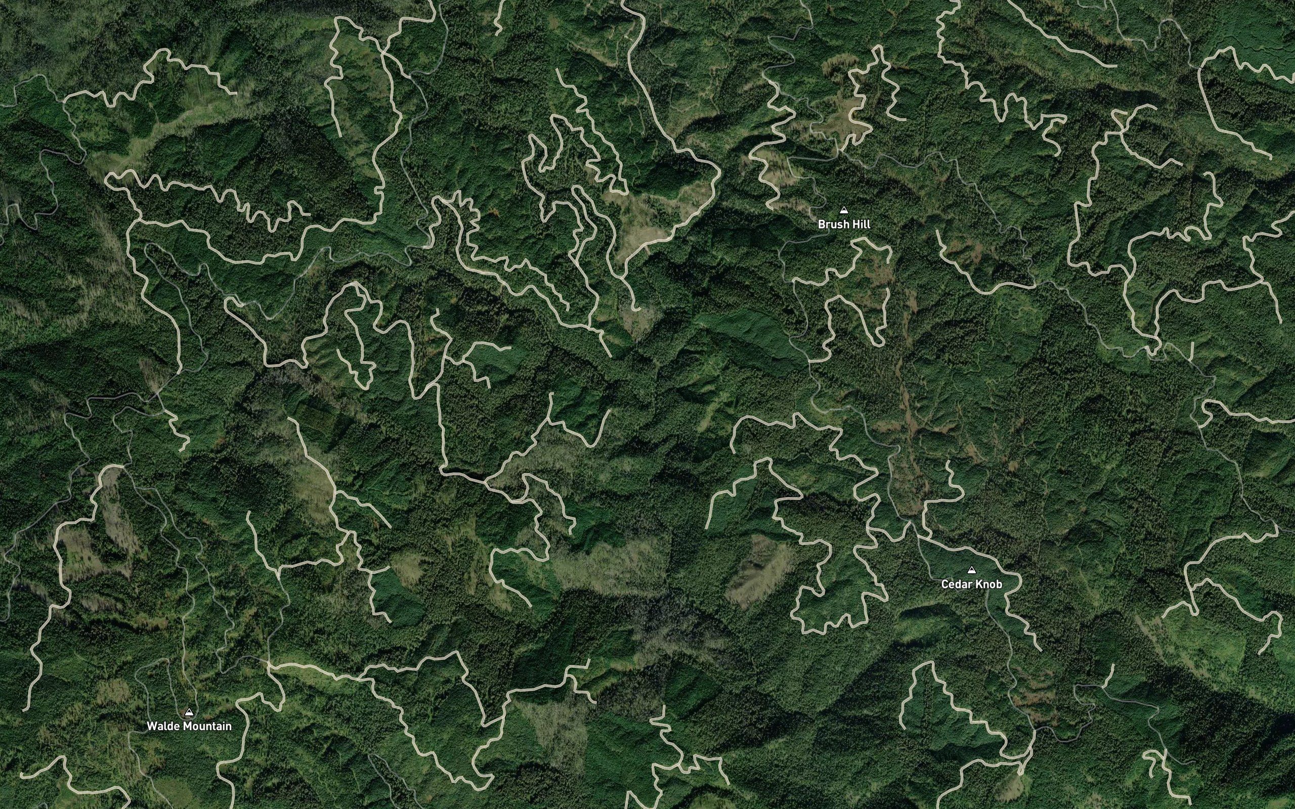 Mystery Creek