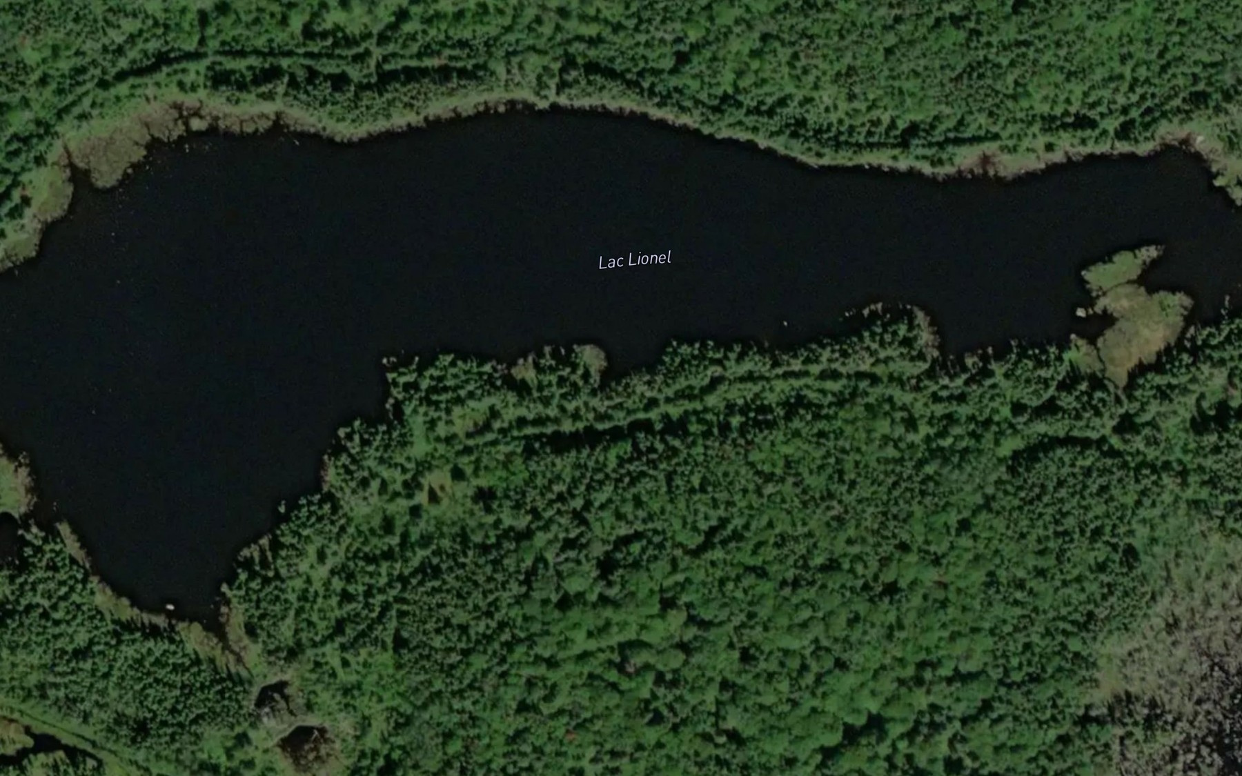 Satellite map of the Lac Lionel