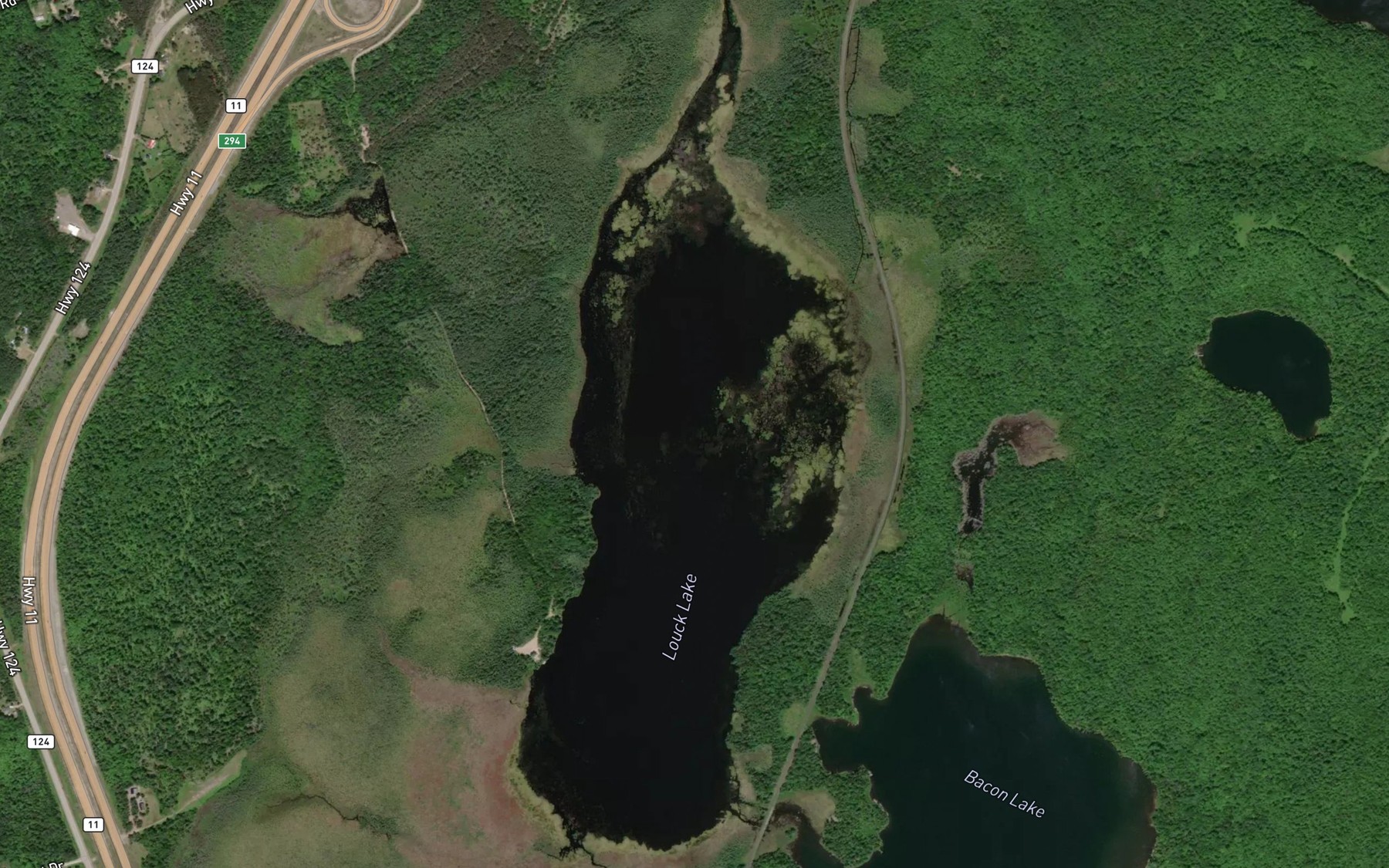 Satellite map of the Louck Lake