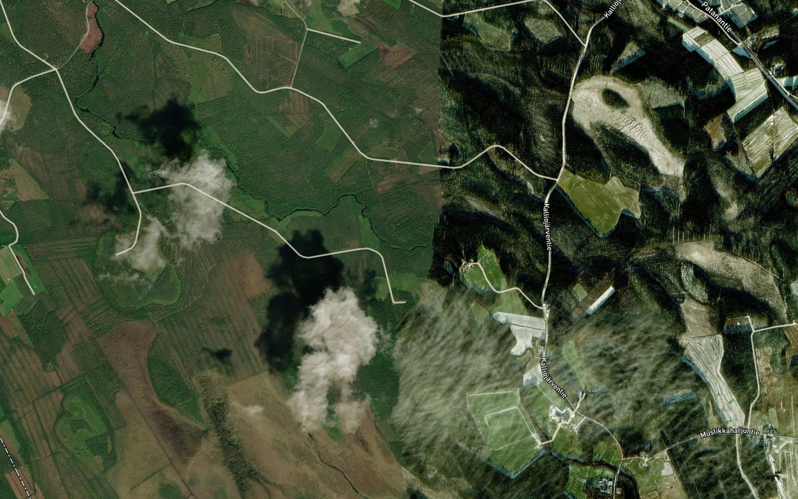 Kalliokoski