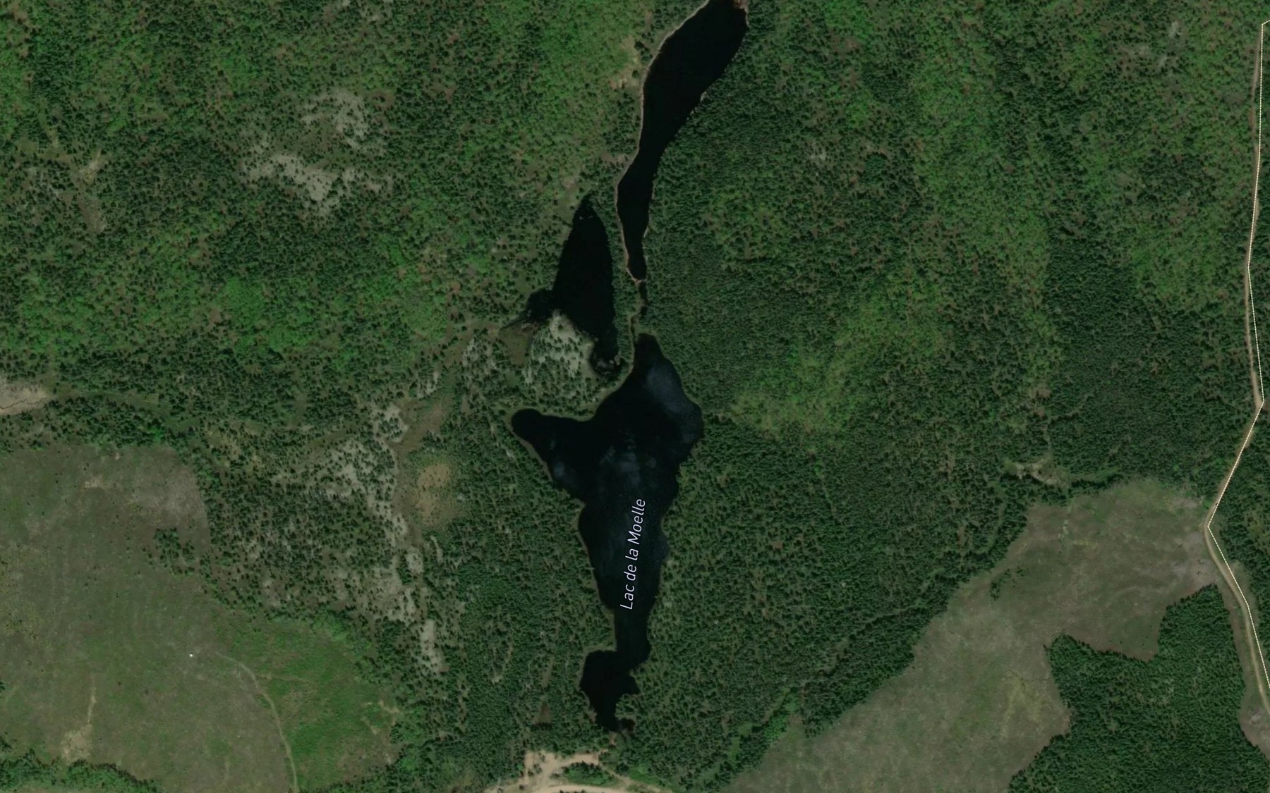 Satellite map of the Lac de la Moelle