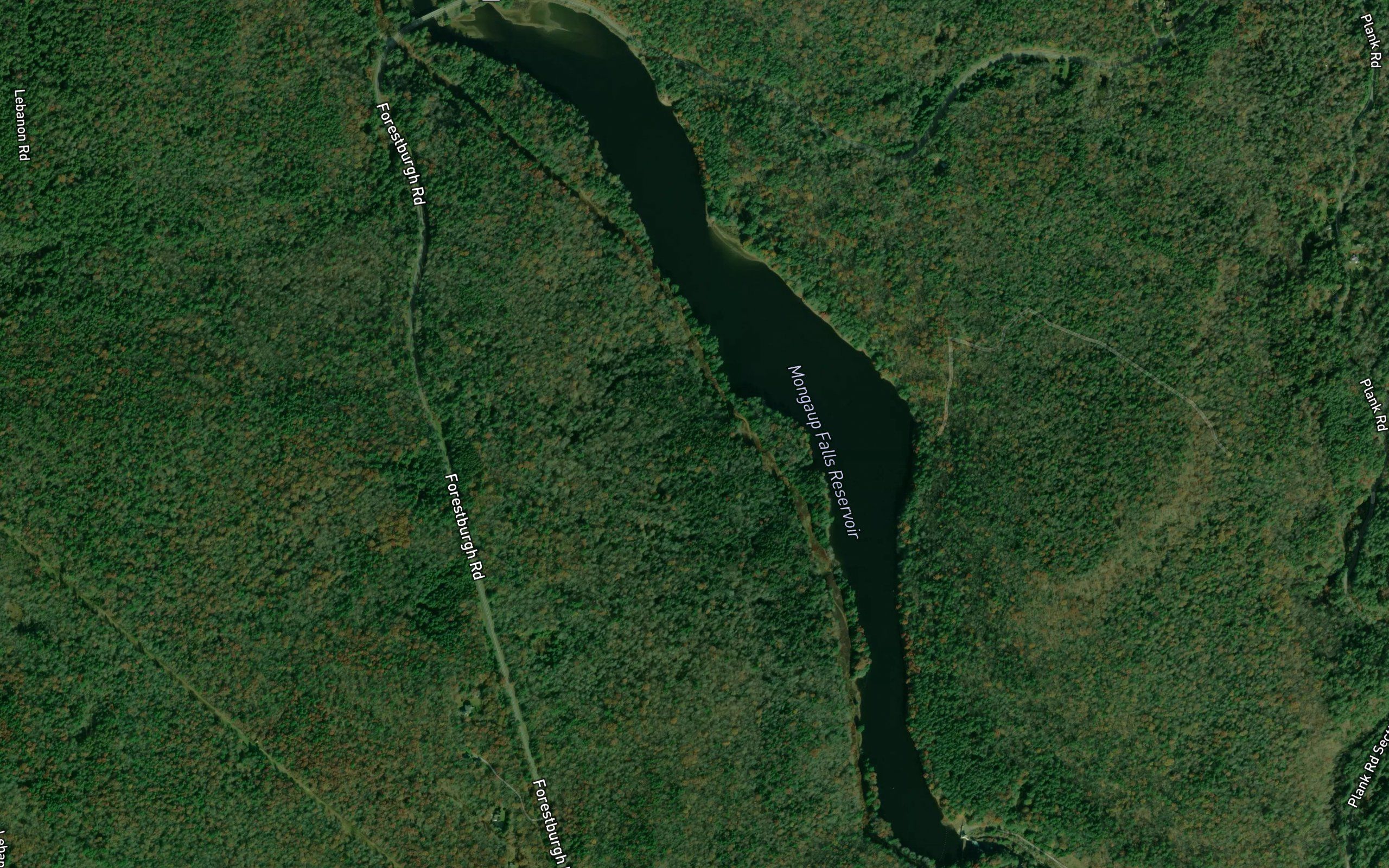 Mongaup Falls Reservoir